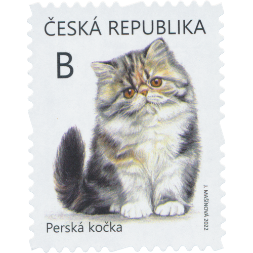 Mláďata: Perská kočka / (J. Mašínová)