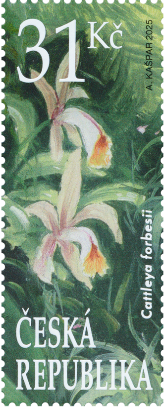 Bot. zahrada Brno: 31 Kč / (A. Kašpar)