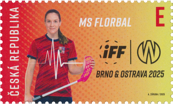 MS florbal žen / (A. Záruba)